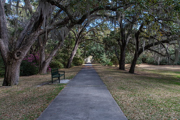 brookgreen gardent 2 2022_03_07-facebook