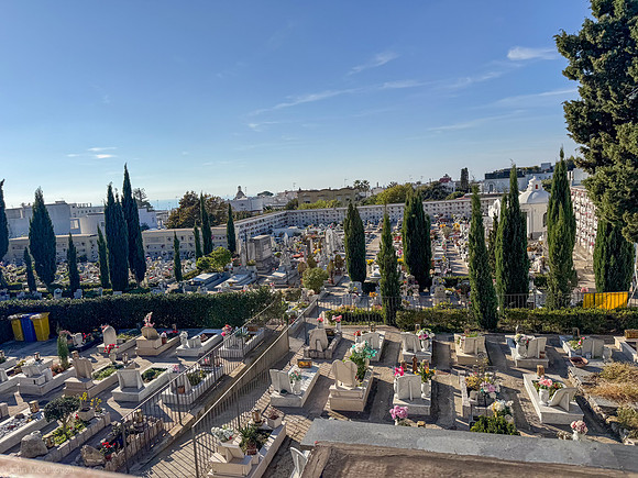 anacapri cemetary-44