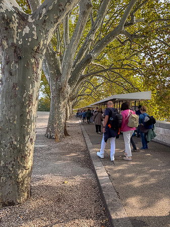 sycamore and vendors-9