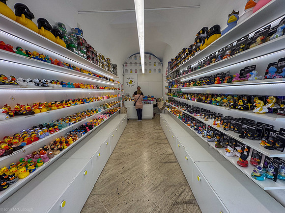 duck store-7