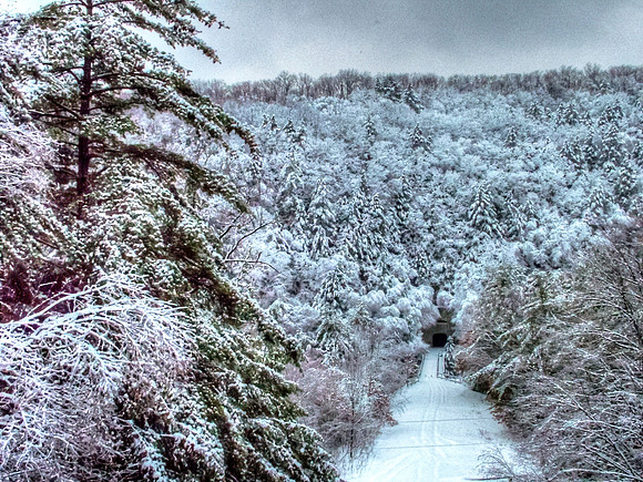 Rockland - Winter Tunnel