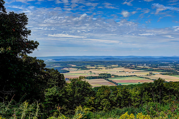 State College - Jo Hays Vista