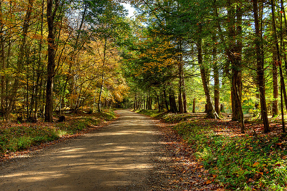 Dempseytown Creek Road 2015_10_09.jpg