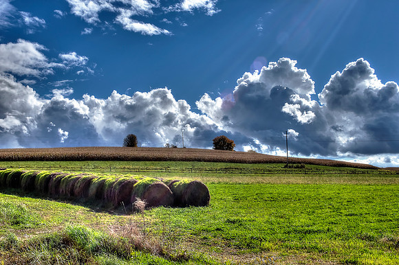 Rockland - Pittsville Field