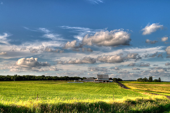 Baytree Farm in Summer