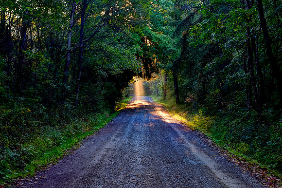 Bear Run Beams