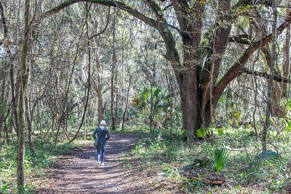 leeann bolen bluff trail paynes prairie 2022_02_09-facebook