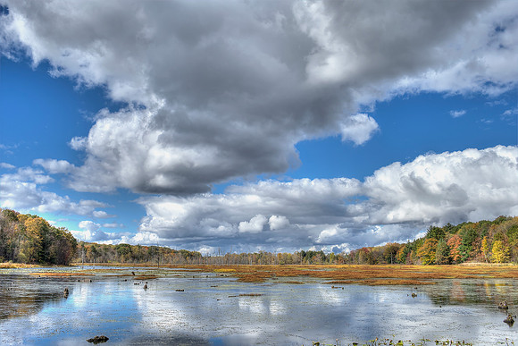 Wilhelm - Lake in the Fall