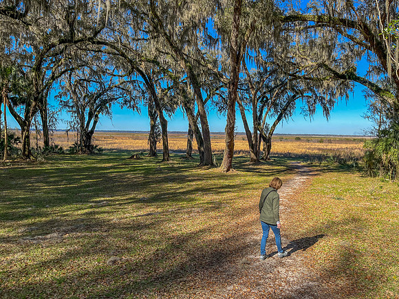 leean live oaks 2023_02_13-facebook