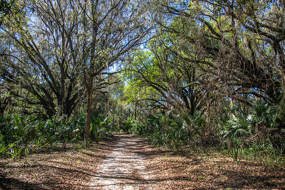 lake trail 2023_02_14-facebook