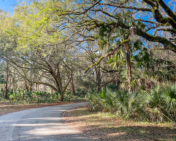 puggy road 2023_02_12.heic-facebook