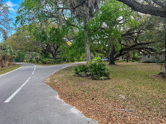 loop road trees 2023_02_27-facebook