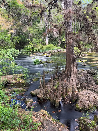 river rapids 2023_02_27-facebook