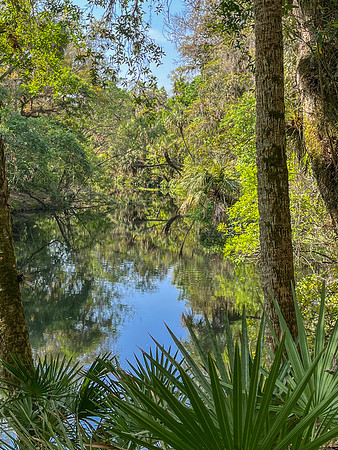 river view 2023_02_25-facebook