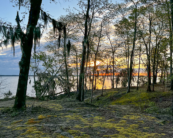 sunrise 2023_03_19-facebook