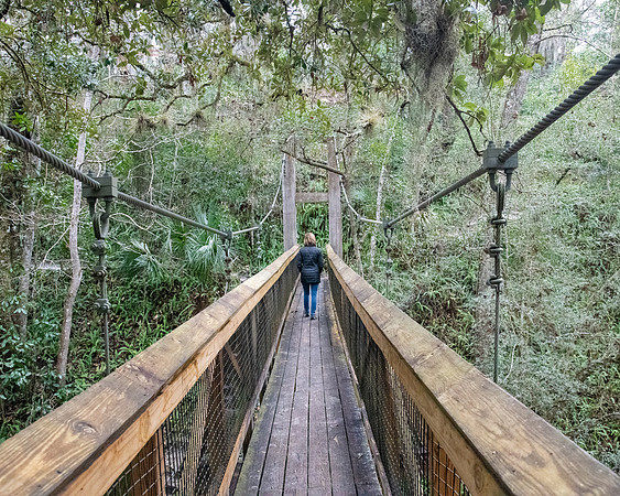 ravine garden bridge2 2023_02_12-facebook