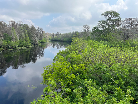 lettuce lake 2023_02_24-facebook