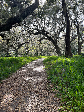 lake trail 2023_02_21-facebook
