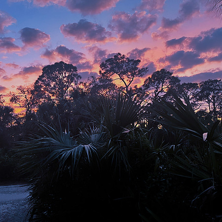 sunset2023_03_03-facebook