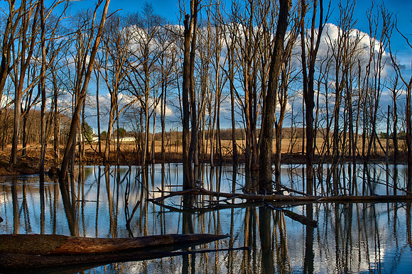 Rockland Beaver Pond and Church