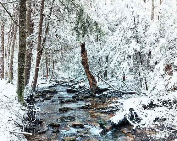 roberts run 2023_01_23-Edit