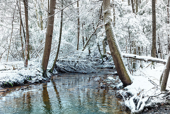 swimming hole 2023_01_23-Edit