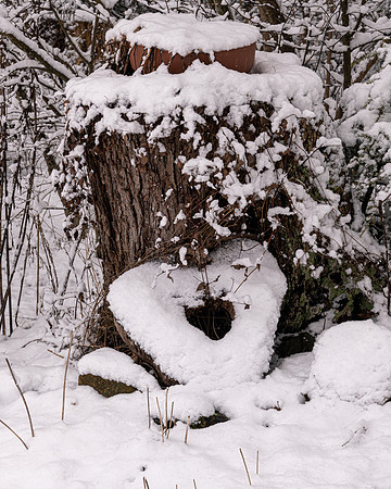 snow heart 2023_01_23