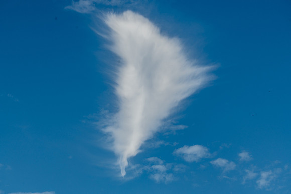 feather cloud sweetwater 2022_02_11-facebook