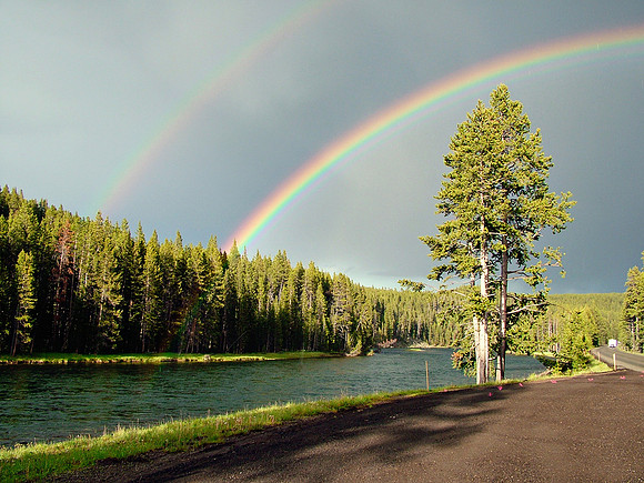 Yellowstone - River Rainbow