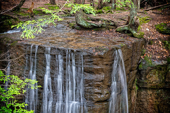 hector falls top view 2021_05_10-facebook