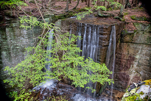 hector falls side view 2021_05_10-facebook