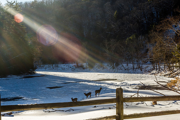 Clarion River Family