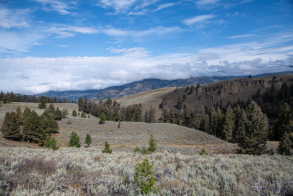 blacktail plateau scenery 2023_09_21-7