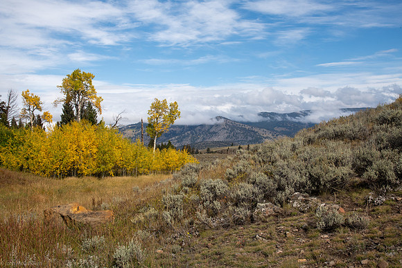 blacktail plateau scenery 2023_09_21-26