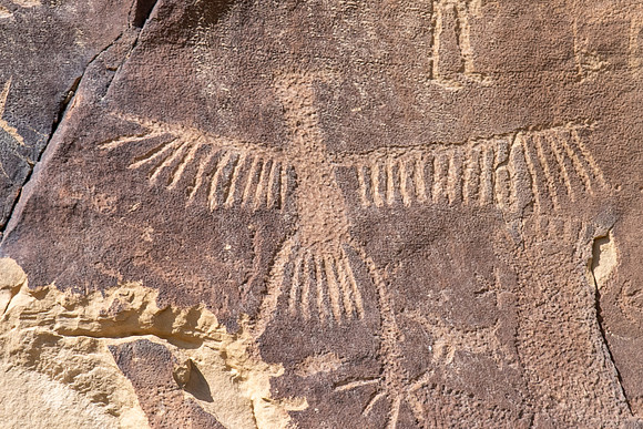 legend rock petroglyphs 2023_09_06-10