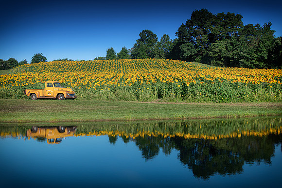 sunnybs truck2 2021_09_02-Edit