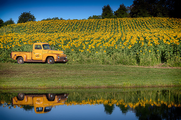 sunnybs truck1 2021_09_02-Edit