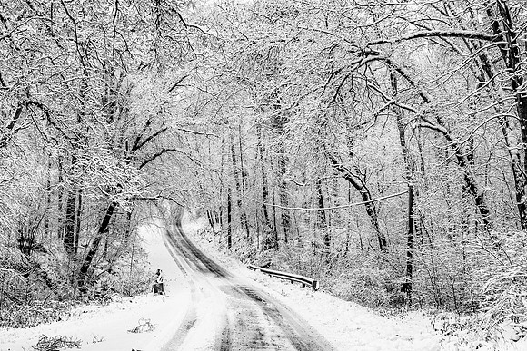 Bear Run Winter 2018_11_16