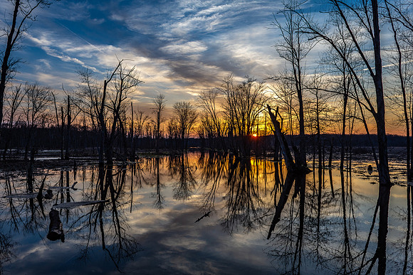 Geneva Marsh 2019_04_07