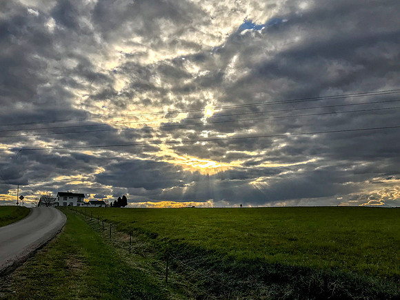 baytree sunbeams 2021_11_04