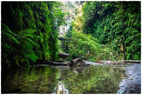 Fern Canyon 1 2021_09_29-facebook