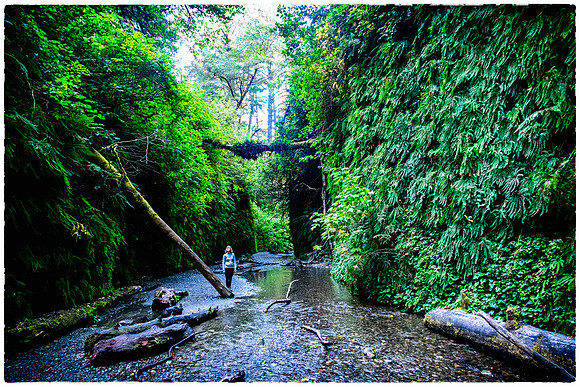 fern canyon leeann 2021_09_29-facebook