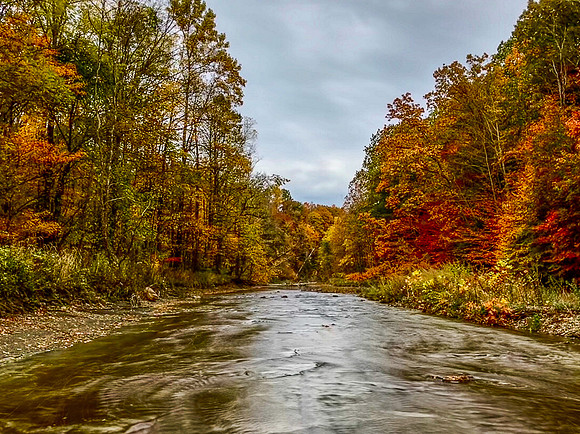 Elk Creek 2019_10_25