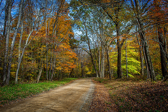 Creek Road 2019_10_20