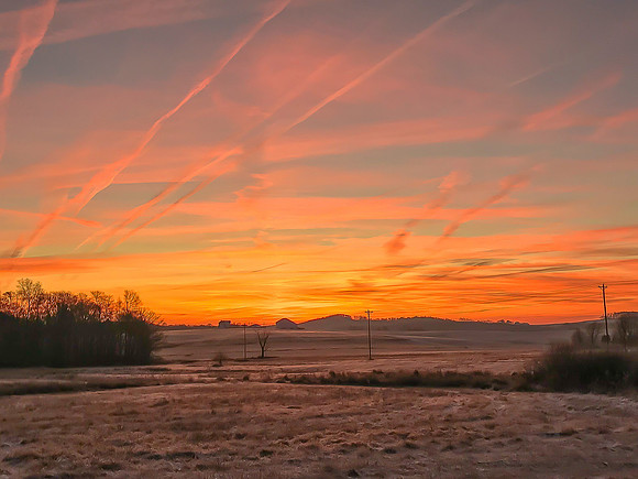 Bay Tree Sunrise 2019_12_12