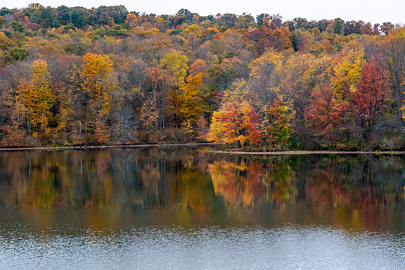 Justus Lake foliage 2020_10_14