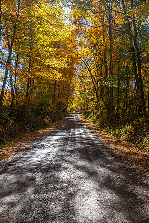 Hornberg Road 2020_10_13