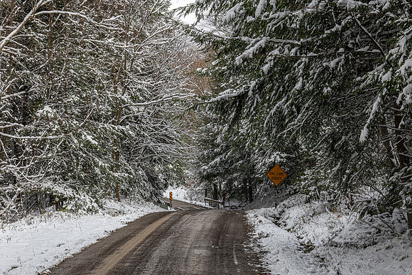 potters falls road snow 2 2020_11_02