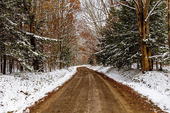 potters falls road snow 2020_11_02
