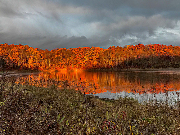 Kahle Lake Sunset Sunlit cove 2020_10_30